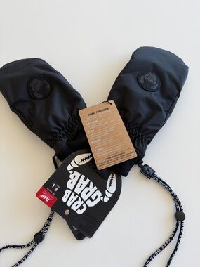 Men's Black Waterproof Mittens